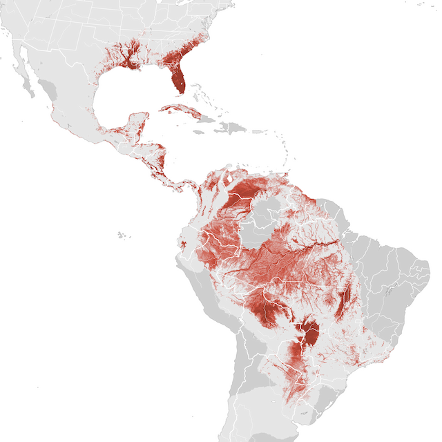 Mapa abundance