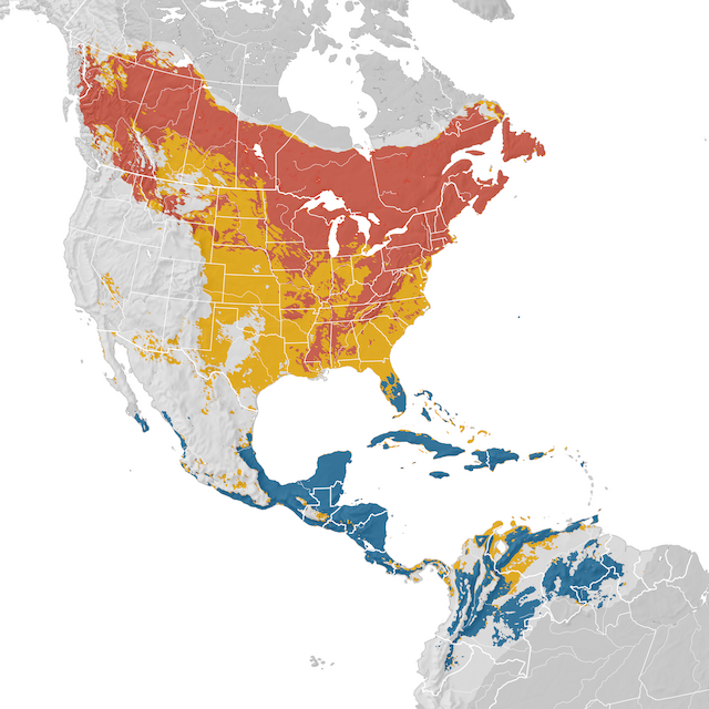 Mapa de Distribuição