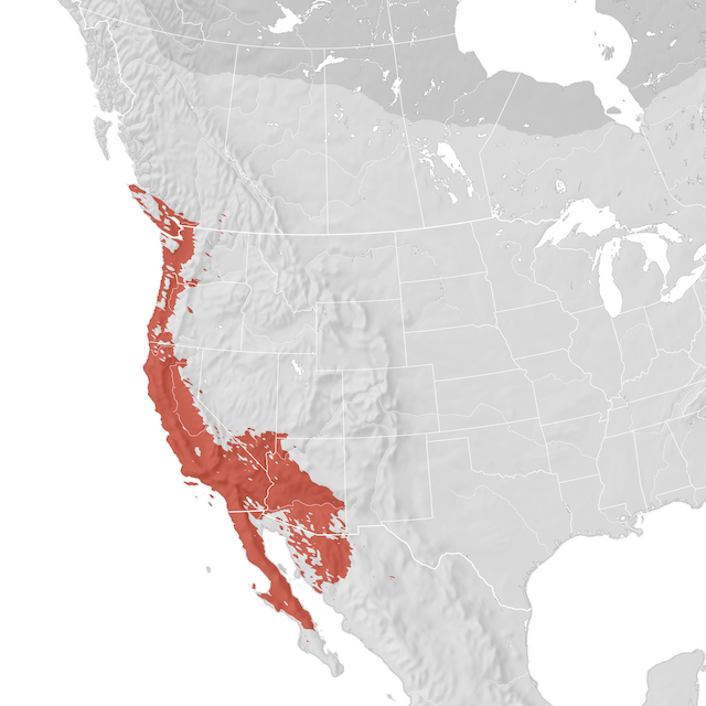 Range Map