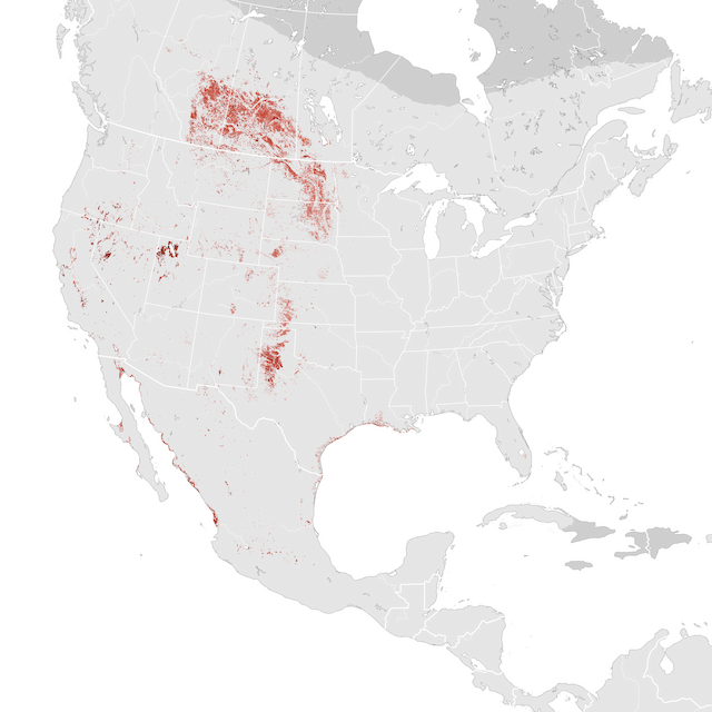 Abundance Map