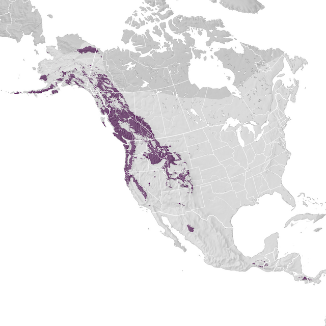 Range Map