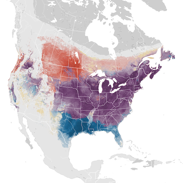 Abundance Map