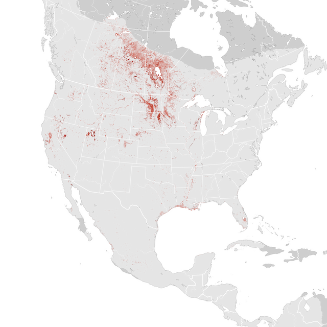 Mapa de abundancia