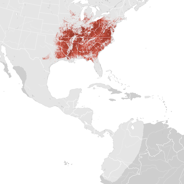 Mapa de abundâcia