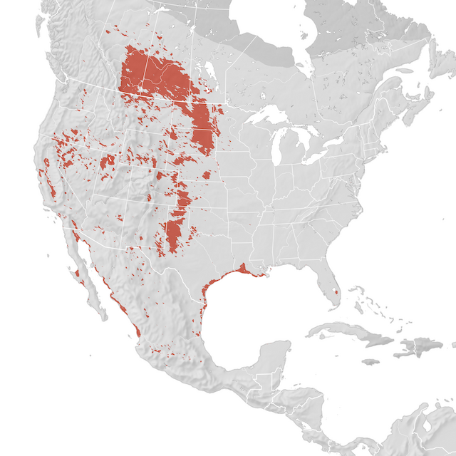 Range Map