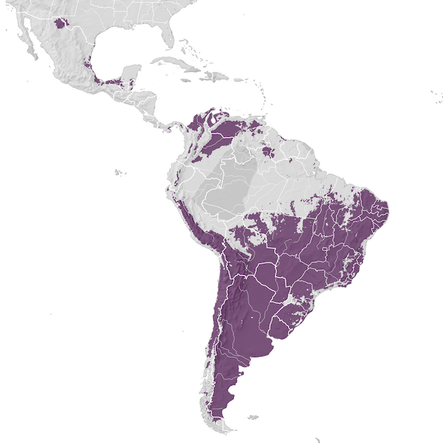 Mapa de distribuição