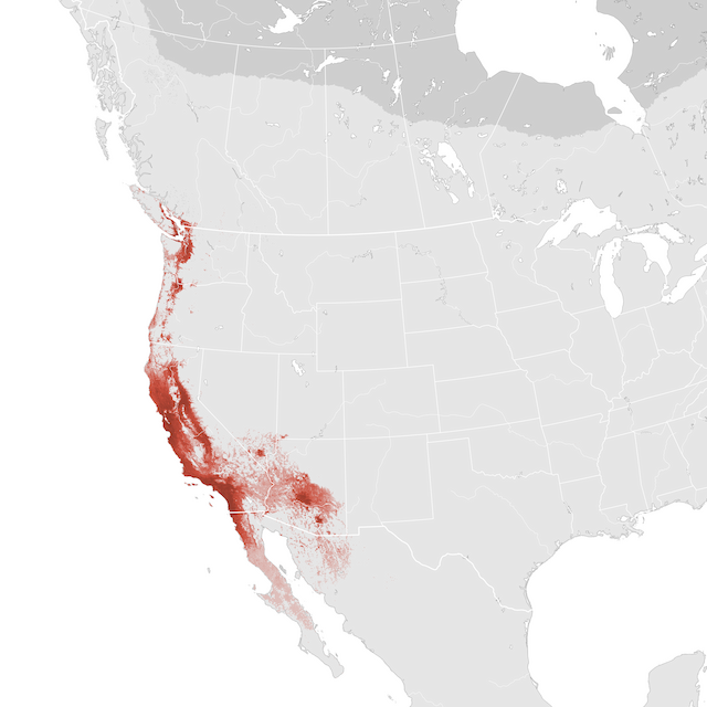 Mapa de abundancia