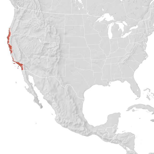 Mapa de distribuição