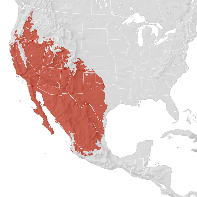 Range Map