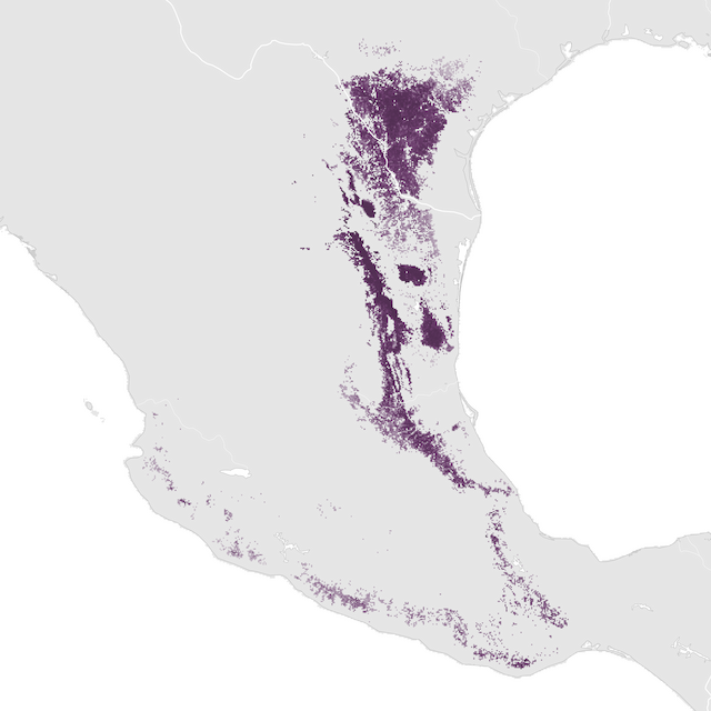 Mapa de abundancia