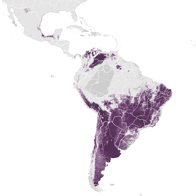 Abundance Map