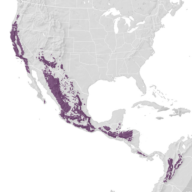 Mapa de Distribuição