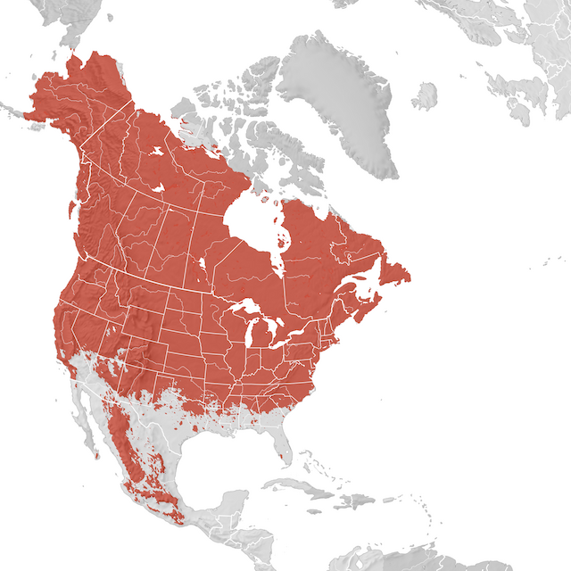 Mappa di distribuzione