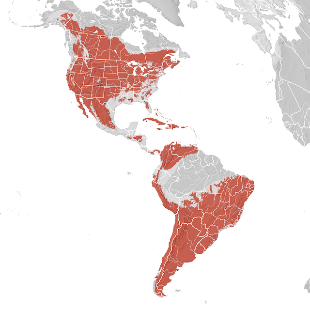 Carte de distribution