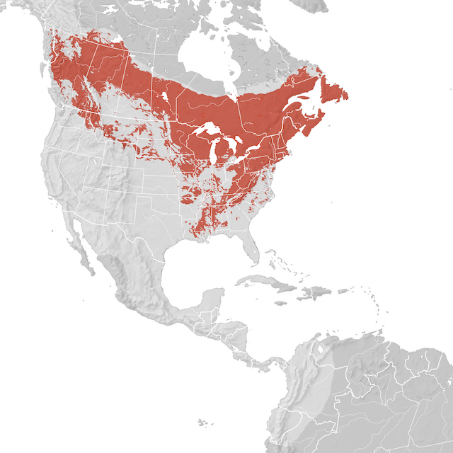 Range Map