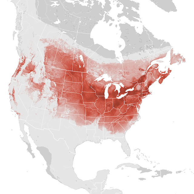 Abundance Map