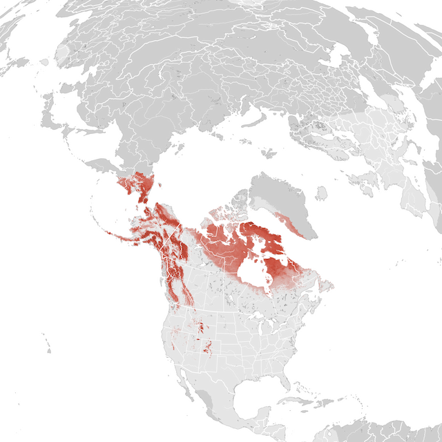 Abundance Map