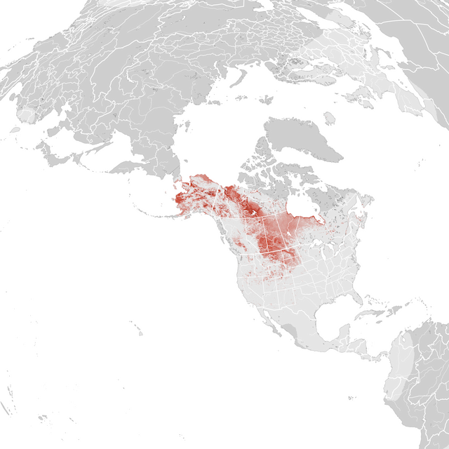 Abundance Map