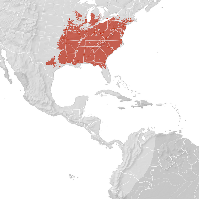 Mappa di distribuzione