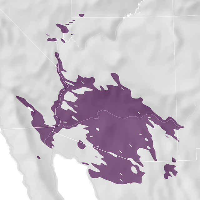 Mapa de distribuição