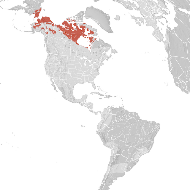 Mapa de distribuição