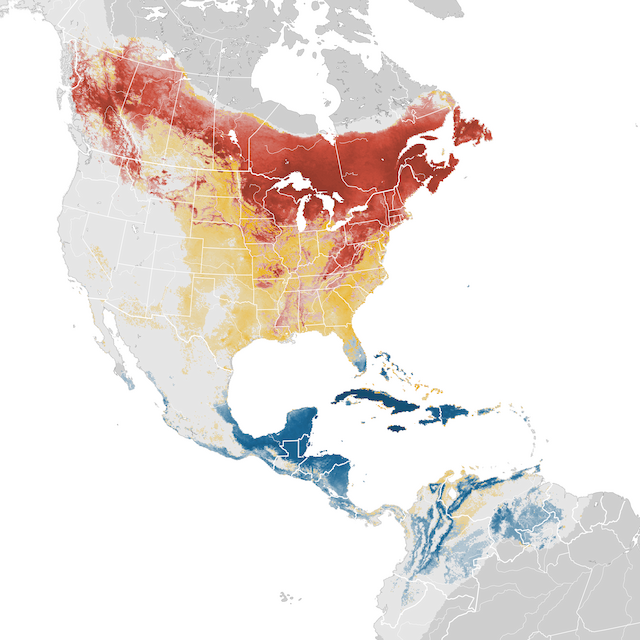 Abundance Map