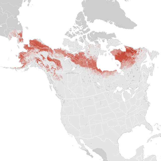 Abundance Map