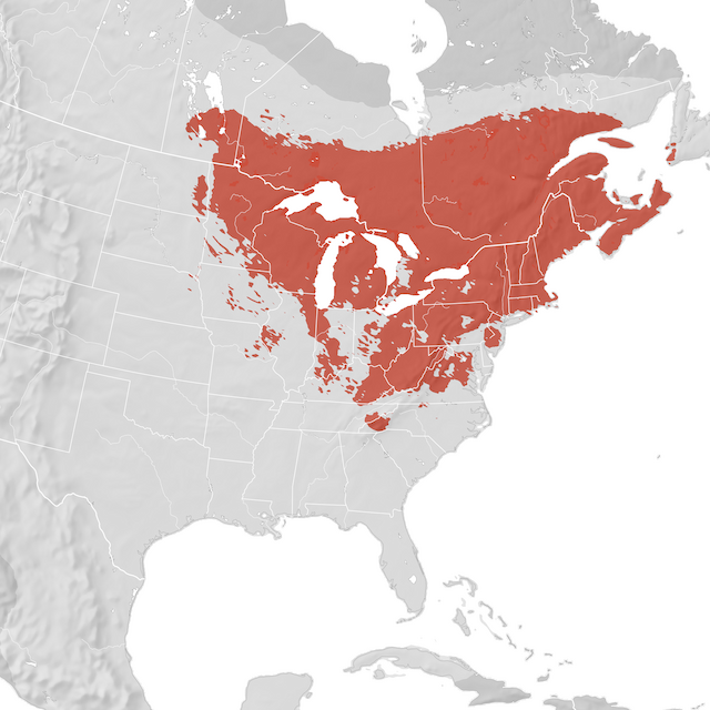 Mappa di distribuzione