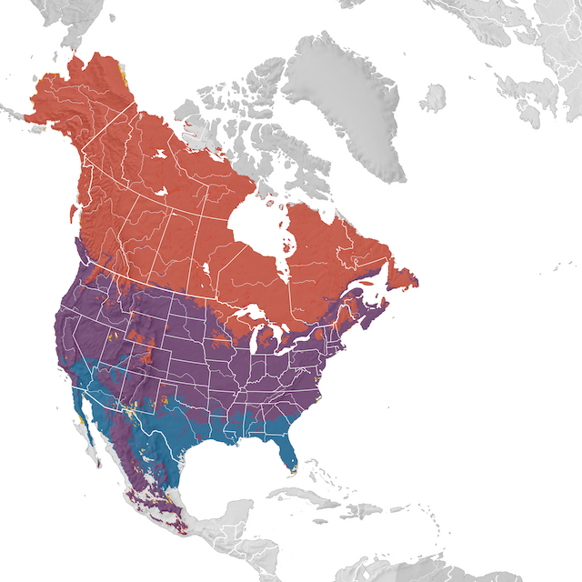 Mappa di distribuzione