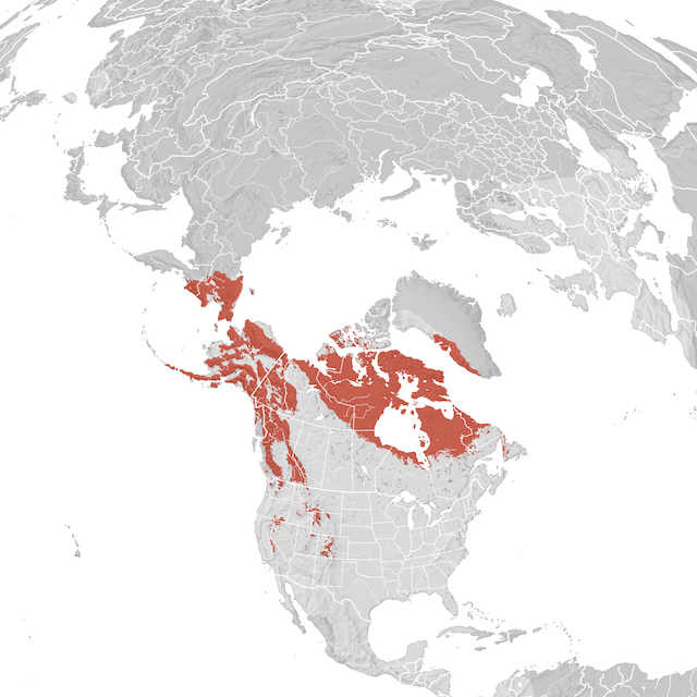 Mappa di distribuzione