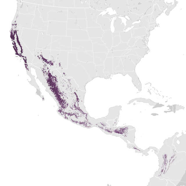 Mapa de Abundância