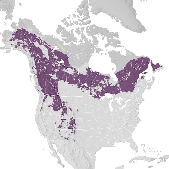 Range Map