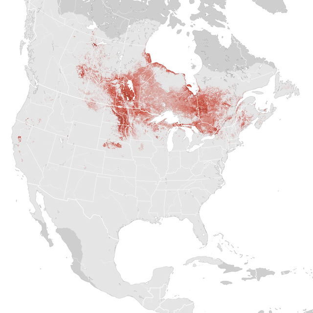 Mapa de abundâcia