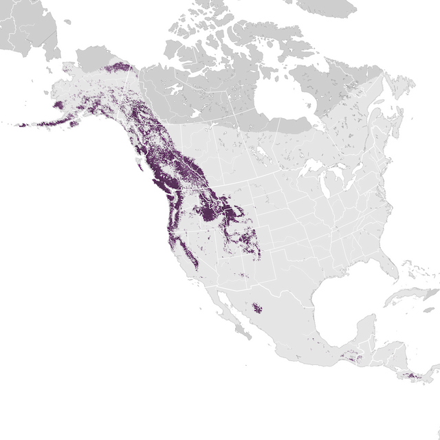 Mapa de abundâcia