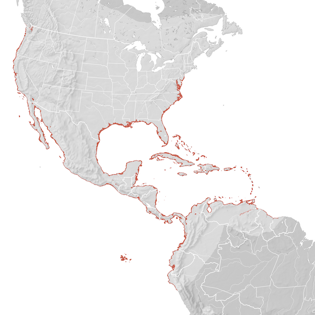 Mapa de Distribuição