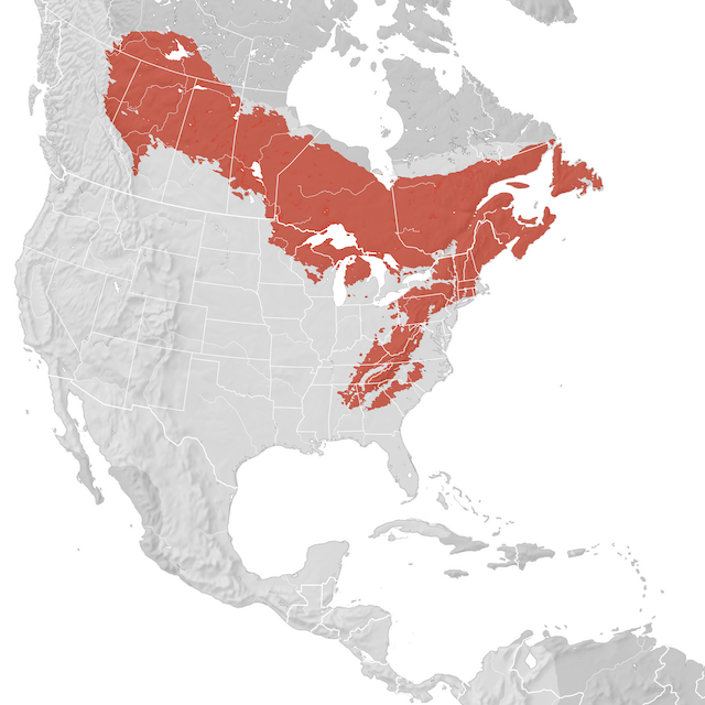 Mappa di distribuzione