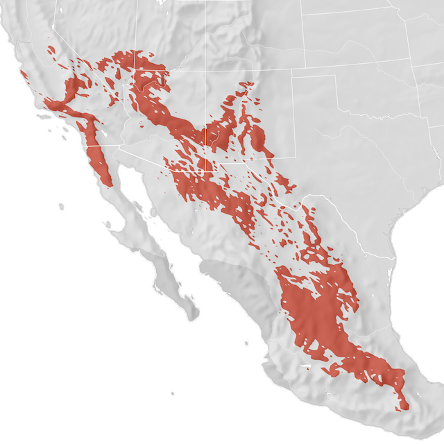 Range Map