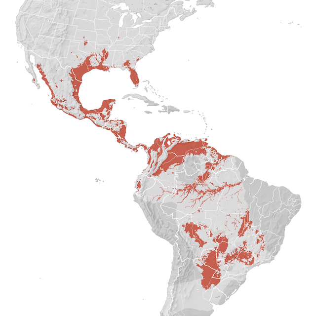 Mapa de Distribuição