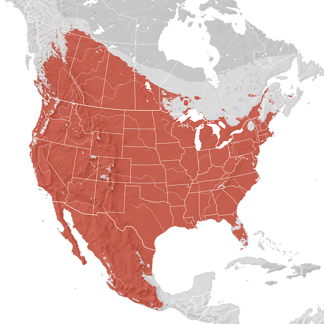 Carte de distribution