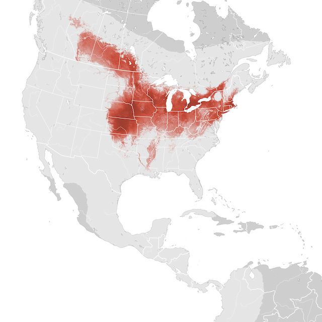 Abundance Map