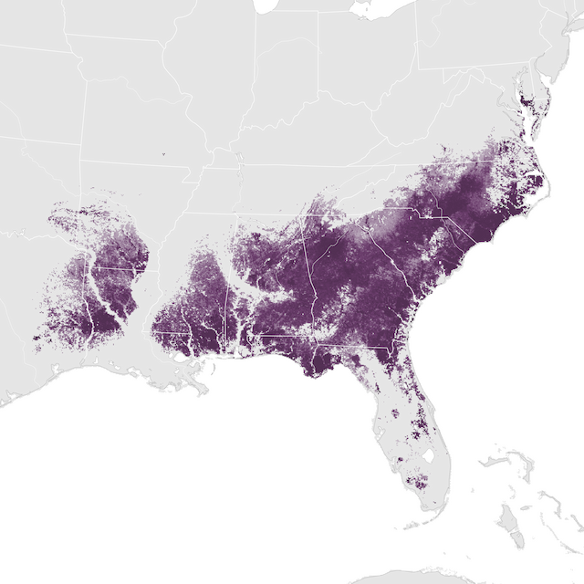 Abundance Map