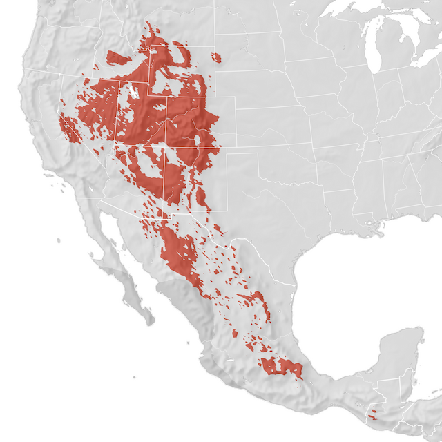 Mapa de rango