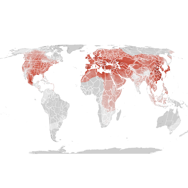 Mapa de Abundância