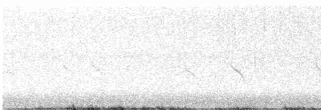 Evening Grosbeak (type 1) - ML610400820
