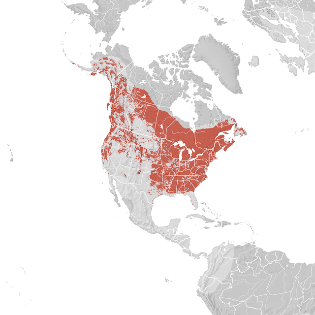 Mapa de distribuição