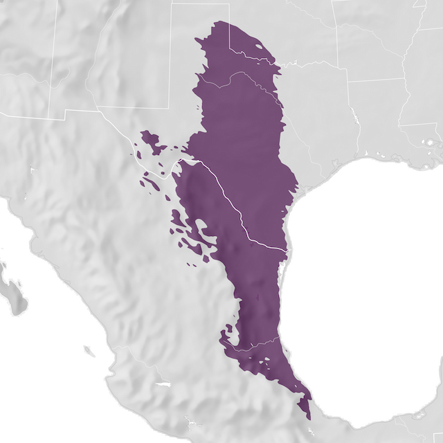 Mapa de Distribuição