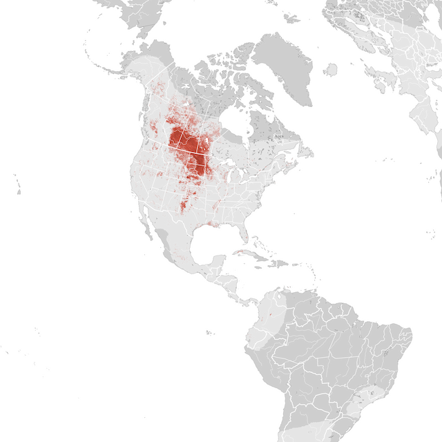 Abundance Map