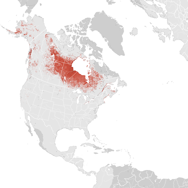 Mapa de abundâcia