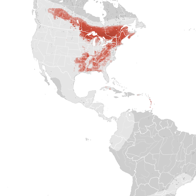 Abundance Map