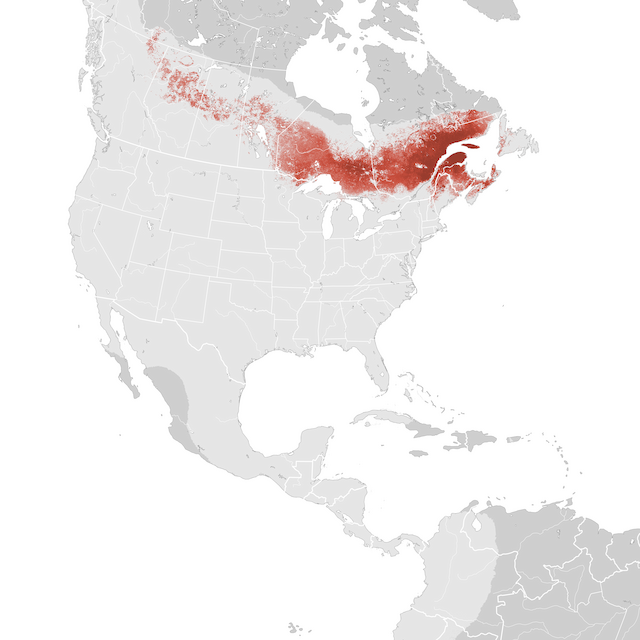 Abundance Map